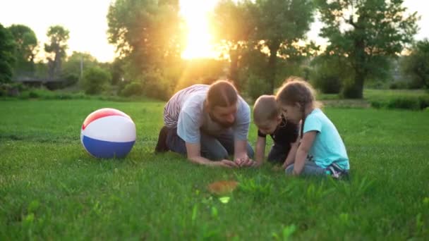 Papà con bambini piccoli in età prescolare giocare divertirsi esplorare la natura cercare piante, insetti in erba nel parco al tramonto estate, famiglia felice, infanzia, paternità, padre Day, ricerca, esplorazione — Video Stock