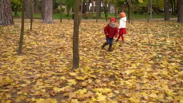 Two happy funny active smilling friends children kids boy Girl walking running holding hands in park forest enjoying autumn fall nature weather. Kid in red cloth playing hiding behind trees Slow — Stock Video