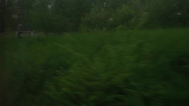 Hız treninin penceresinden manzara, güzel çayır manzarası ve yaz arka planında çiçek açan orman bulutlu gökyüzü. Ulaşım, seyahat, yol, demiryolu, zina kavramı