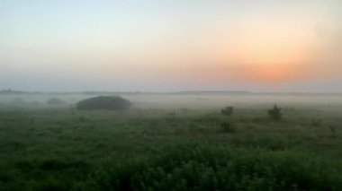 Güzel doğa manzarası, vahşi tarlalar ve dağların ormanı üzerinde yaz arkaplanındaki açık güneşli akşam günbatımında yüksek hızda dönen trenin mavi kenar görüntüsü. Ulaşım, seyahat, demiryolu kavramı