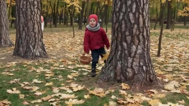 공원 숲 속을 걷고 있는 행복 한 두 아이가 가을 날씨를 즐기고 있습니다. 아이가 낙엽을 바구니에 담고, 나무 뒤에 숨어 놀고 있는 버섯의 수확을 찾고 있습니다 — 비디오