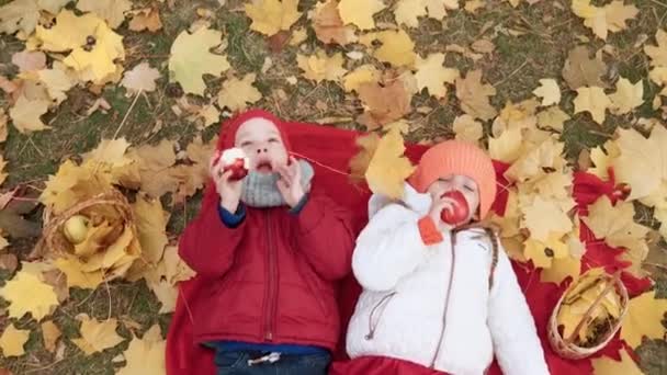 小さな就学前の子供の兄弟の女の子の男の子笑顔は、秋の公園でカメラを見て赤いリンゴの果物を食べるバスケットピクニックの子供たちで遊んだ倒れた葉で休息をします。家族、秋の収穫 — ストック動画