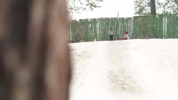 Feliz familia hermana chica niño tirando trineo diapositiva riendo hermanito niños niños corriendo en nieve alegre chico después de sonreír. Familia de muchos disfrutando de invierno día nevado en bosque bosque — Vídeo de stock