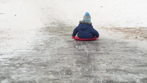 Feliz familia hermana chica niño tirando trineo diapositiva riendo hermanito niños niños corriendo en nieve alegre chico después de sonreír. Familia de muchos disfrutando de invierno día nevado en bosque bosque — Vídeos de Stock