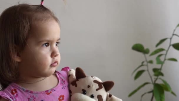 Pequeña niña haciendo divertido expresivo mueca cara con suave oso de juguete en casa. Las emociones infantiles los sentimientos la tristeza la felicidad. niño caprichoso travieso. Acercamiento niño mirando hacia fuera punto a ventana — Vídeos de Stock