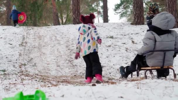 Happy young sister girl kid pulling sled sledding slide laughing little brother kids children running in snow cheerful boy following smiling. Family of many enjoying winter snowy day in forest wood — Stock Video