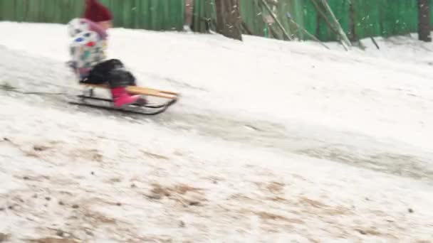 幸せな家族の妹の女の子の子供は笑顔の後に雪の陽気な少年で実行されている弟の子供たちを笑ってそりそりそりスライドを引く。森の中で冬の雪の日を楽しむ家族 — ストック動画