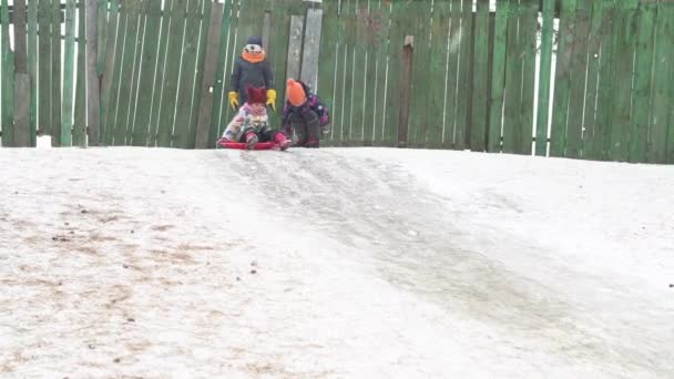 Feliz familia hermana chica niño tirando trineo diapositiva riendo hermanito niños niños corriendo en nieve alegre chico después de sonreír. Familia de muchos disfrutando de invierno día nevado en bosque bosque — Vídeo de stock