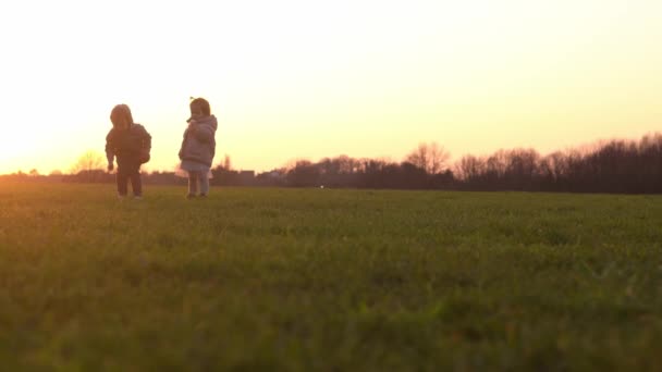 Glückliche Familie bei Sonnenuntergang. Die Silhouette einer Gruppe von Menschen geht durch den Park. Kind mit Eltern an der Hand. Vater beim Fußballspiel auf dem Rasen. Junger Papa macht gerne Sport mit Geschwistern draußen — Stockvideo