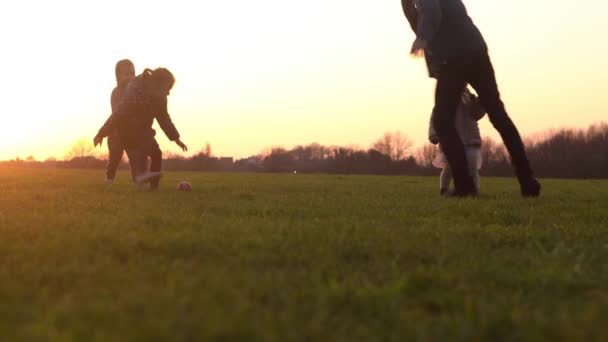 Szczęśliwa rodzina o zachodzie słońca. Sylwetka grupy ludzi spaceruje po parku. dziecko z rodzicami trzymającymi się za ręce. Ojciec gra w piłkę na trawie. Młody tata fave zabawy do sportu z dziećmi rodzeństwo na zewnątrz — Wideo stockowe