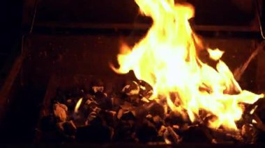 Gecenin parlayan kömürleri üzerinde ızgara yapılmış baharatlı tavuk kanatları ateşte pişiyor. Gece Partisi Barbeküsü. Açık hava aşçılığı. Cook, Şark Yemeğini Mutfakta Hazırlıyor. Abur cubur, sağlıklı yaşam tarzı