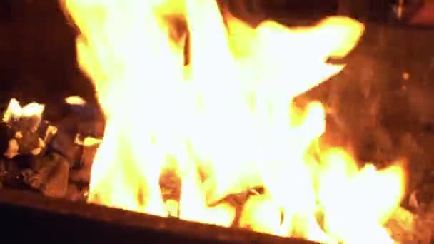 Pikantne skrzydełka kurczaka jest grillowany na jasne świecące węgiel nocy Broasting w ogniu. Grill nocny. Gotowanie na świeżym powietrzu. Kucharz przygotowuje orientalne danie w kuchni. Śmieciowe jedzenie, zdrowy styl życia — Wideo stockowe