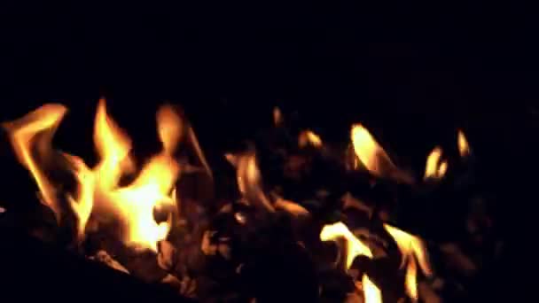Pikantne skrzydełka kurczaka jest grillowany na jasne świecące węgiel nocy Broasting w ogniu. Grill nocny. Gotowanie na świeżym powietrzu. Kucharz przygotowuje orientalne danie w kuchni. Śmieciowe jedzenie, zdrowy styl życia — Wideo stockowe