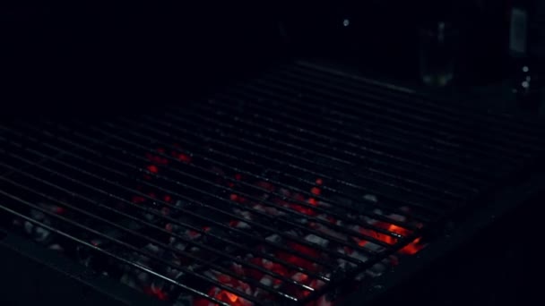 Würzige Chicken Wings, die über glühenden Kohlen des nächtlichen Braten auf Feuer gegrillt werden. Nacht Party Barbecue. Kochen im Freien. Koch bereitet orientalische Gerichte in der Küche zu. Junk Food, gesunder Lebensstil — Stockvideo