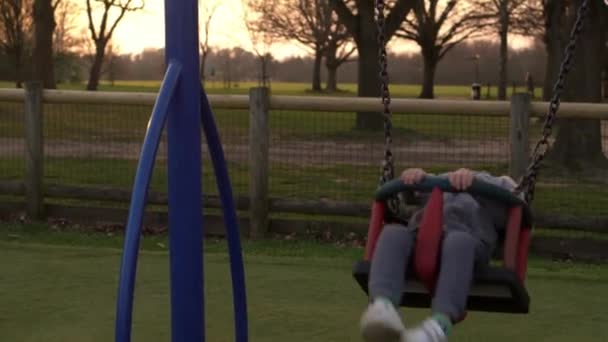 Medium plan for sjov lille førskole buttede pige i lyserød jakke svinge på Swing før solnedgang. Baby leger på legeplads i parken. Børn Underholdning, Barndom, Natur, Happy Family Concept – Stock-video