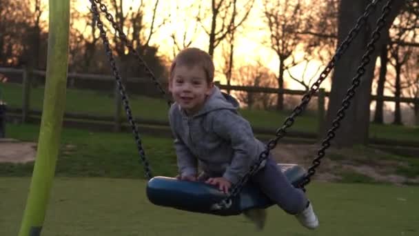 Közepes terv Aranyos kisfiú portréja, aki jól érzi magát a hintán kívül. A kölyök mosolyog a kamerába. érzelmi gyerekek lovagol körhinta játszótér parkban.Boldog család, gyermekkor — Stock videók