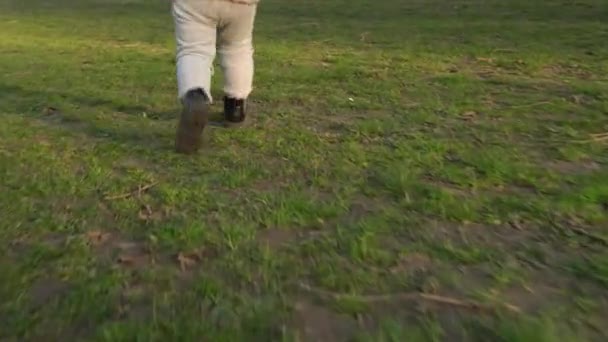 Fille inconnue courant sur prairie verte à l'heure du lever du soleil. Vue arrière de jambes d'enfant femelle marchant dans le parc de la ville Printemps vieux temps. Enfant méconnaissable en robe rose jouant dans le jardin.Famly, Enfance — Video