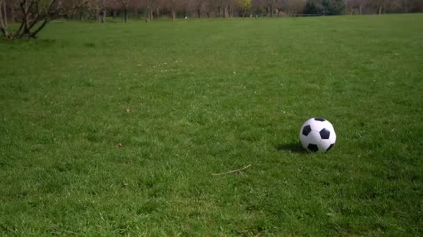 春の公園で楽しい子供たちの幸せな家族。リトル・キッド・ラン。子供の男の子は緑の草の上に黒白の古典的なサッカーボールをドリブル。サッカーをしている。子供時代,スポーツ,選手権のコンセプト — ストック動画