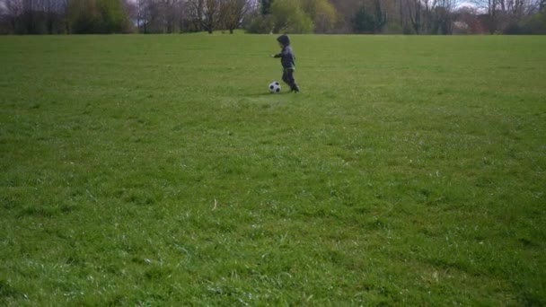 快乐的孩子家庭在春天的公园里玩得开心。小孩儿跑。小男孩在绿草上流淌着黑白色经典足球。人们踢足球。童年、体育、锦标赛概念 — 图库视频影像