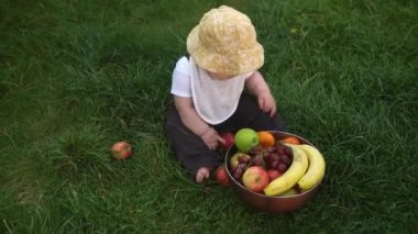 Panama şapkalı küçük bir çocuk büyük bir kâse taze meyveyle çıplak ayakla çimlerin üzerinde oturuyor. Bebek yürümeye başlayan çocuk ısırır elmaları, muz bahçesini, bahçeyi, sağlıklı yiyecekleri yer.
