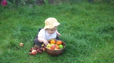 Panama şapkalı küçük bir çocuk büyük bir kâse taze meyveyle çıplak ayakla çimlerin üzerinde oturuyor. Bebek yürümeye başlayan çocuk ısırır elmaları, muz bahçesini, bahçeyi, sağlıklı yiyecekleri yer.