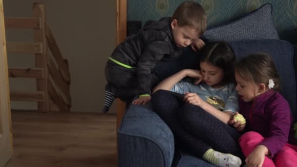 Otantik 3 küçük anaokulu çocuğu reşit olmayan çocuk kardeşler çizgi film izleyip akıllı telefon aygıtı bilgisayarında sohbet ediyorlar. Aile, çocukluk, arkadaşlık — Stok video