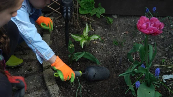 Anya háziasszony gyerekekkel Son Daughter visel munkaruhák kesztyű készül talaj növény virágok segít anya vigyázni kert kívül. Segítség kertészkedés ültetés környezet Család Természet Stock Kép