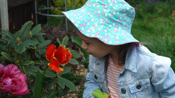 Glücklich Vorschulmädchen Kind Tochter trägt Arbeitshandschuhe humose Stiefel riecht nach Blumen Tulpen im Garten. Mutter ausserhalb der Natur bei der Bepflanzung helfen Frühlingssommerkonzept. — Stockfoto