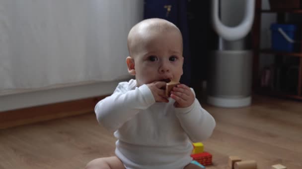 Bebê recém-nascido feliz na sala de jogos. Infant Kid Brincar com brinquedos de madeira em casa Construir construções a partir de figuras geométricas. Criança tem gastar tempo durante o jogo de habilidades motoras. Infância, Conceito de paternidade — Vídeo de Stock