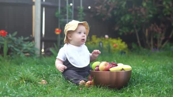 夏のパナマ帽の小さな新生児は、新鮮な果物の大きなボウルで素足で芝生の上に座っています。幼児の男の子の味は、外のリンゴバナナブドウ園をかむ健康的な食べ物の収穫を食べる — ストック動画