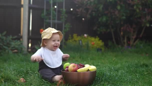 Kis újszülött gyermek nyáron panama kalap ül a fű mezítláb a partedli nagy tál friss gyümölcs. Csecsemő Toddler Boy Íze harap nyalogatja alma banán Szőlő Kert kívül Egészséges étkezési élelmiszer betakarítás — Stock videók