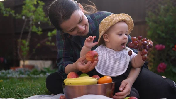 Mutlu Genç Neşeli Anne Yeşil Çimlerde Bebek Yiyen Meyveler Tutuyor. Sevimli Anne Bebek Arka Bahçe Bahçesinde Dışarıda Sevgiyle Oynuyor. Ailesi olan küçük çocuk. Aile, Doğa, Ekoloji Kavramı