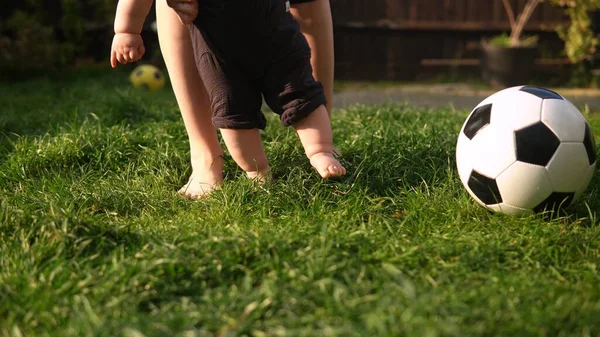 Green Grass 'te ilk adımı bebek atar. Sevimli, genç, neşeli bir anne ve sevimli bir bebek arka bahçede aşkla oynuyorlar. Ebeveynleri olan küçük çocuklar. Aile, Doğa Ekolojisi Kavramı