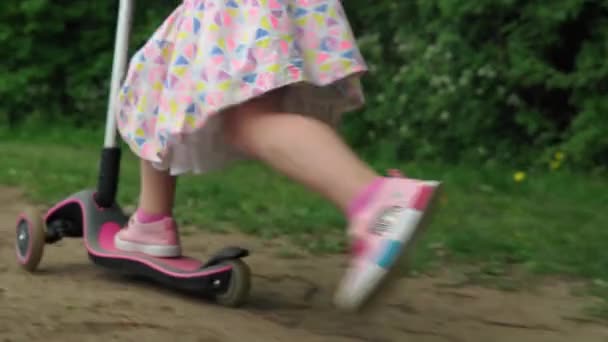 Atividades esportivas para crianças. Crianças pequenas brincando de bicicleta pequena e scooter andando no caminho no parque no verão. Menina Pernas exercício para saudável e bem-estar. Conceito de desenvolvimento infantil — Vídeo de Stock