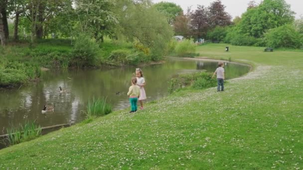 幸せな家族だ 3人の子供が湖の近くで釣りに行く 公園のコンセプトの人たちです 男の子の女の子兄弟一緒に楽しい夏 小さな幼児笑顔の子供の夢のコンセプトライフスタイルを実行している — ストック動画