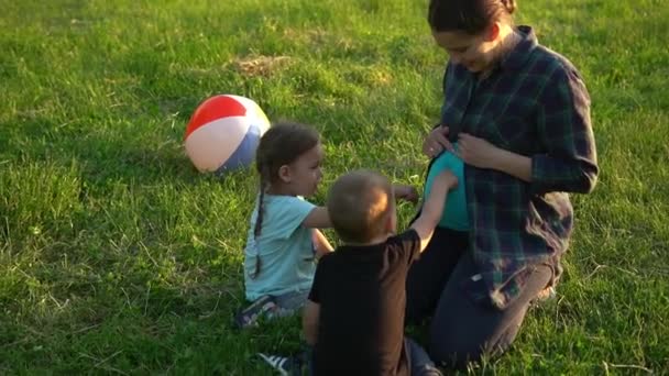 Yaz Doğa Mutlu Aile Hamilelik Iki Küçük Çocuğu Olan Hamile — Stok video