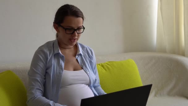 Laptop Noutbook Olan Başarılı Çalışkan Hamile Kadını Hamilelik Çalışmalarındaki Genç — Stok video