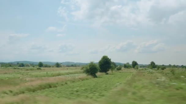 Вид Окна Скоростного Поезда Пейзаж Красивой Природы Дикого Поля Леса — стоковое видео