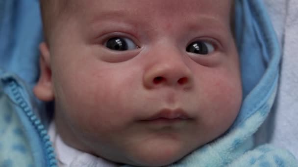 赤ちゃんの様子をカメラで撮影しました 親の愛 感情の概念 柔らかい青いジャケットの茶色の目のぽっちゃり新生児のかわいい笑顔目覚めは家でベッドの上に寝そべって見て回る — ストック動画