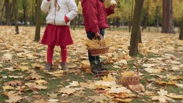 小さな就学前の子供の兄弟の女の子と男の子は遊んだ黄色の落ち葉で笑っていますバスケットピクニック子供たち秋の公園でカメラの天気を見て赤いリンゴを食べています 秋の収穫コンセプト — ストック動画