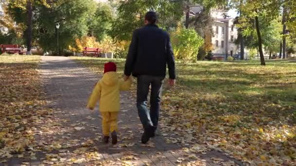 Young Happy Father Preschool Daughter Holding Hands Walking Spending Time — Stock Video