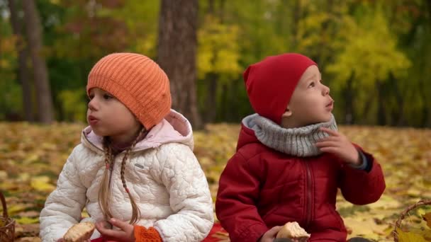 小さな幸せな就学前の子供の兄弟姉妹の友人女の子と男の子の笑顔は楽しい黄色の落ち葉バスケットピクニックの子供たち秋の公園でランチパンパンの天気を食べています 秋の収穫コンセプト — ストック動画