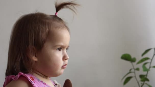 Menina Pequena Criança Fazendo Rosto Grimace Expressivo Engraçado Com Urso — Vídeo de Stock