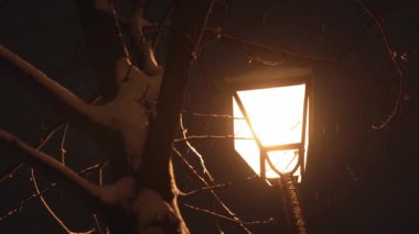 Gece parkında inanılmaz yavaş kar yağışı var. Arka planda fener var. Kışın erken saatlerinde çekilen çekim. Meteoroloji, Hava Durumu, Doğal Fenomen, Mutlu Noeller ve Yeni Yıl Konsepti