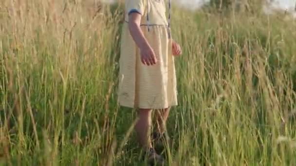 黄色のドレスを着た可愛い就学前の赤ん坊の女の子日没前に背の高い草の中を登って 野生の草原を歩く子供 山の上の幸せな子供たち 子供時代自然生活夏のコンセプト — ストック動画
