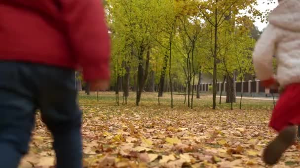 Deux Joyeux Amis Actifs Joyeux Frapper Enfants Enfants Garçon Fille — Video