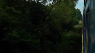 Yüksek hızlı trenin yan görüntüsü güzel doğa manzarası vahşi arazi ve orman akşam bulutlu gökyüzü günbatımı yaz arkaplanında. Ulaşım, seyahat, demiryolu, iletişim konsepti.