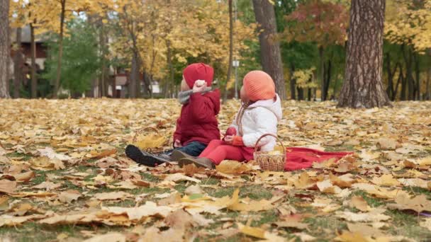Pequena Criança Pré Escolar Irmãos Menina Menino Sorrindo Folhas Caídas — Vídeo de Stock