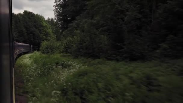 Вид Сбоку Скоростного Разворотного Поезда Пейзаж Красивой Природы Дикого Поля — стоковое видео