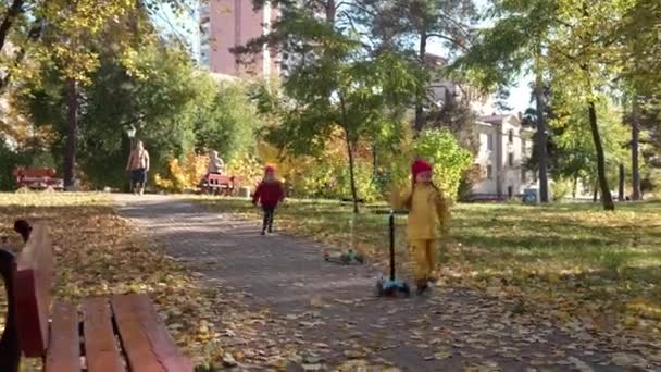 小さなかわいい就学前の弟の女の子と男の子のピクニック赤い遊び場で黄色の落ち葉赤いアップルは秋の公園でカメラの寒さを見て食べます 子供時代 秋のコンセプト — ストック動画